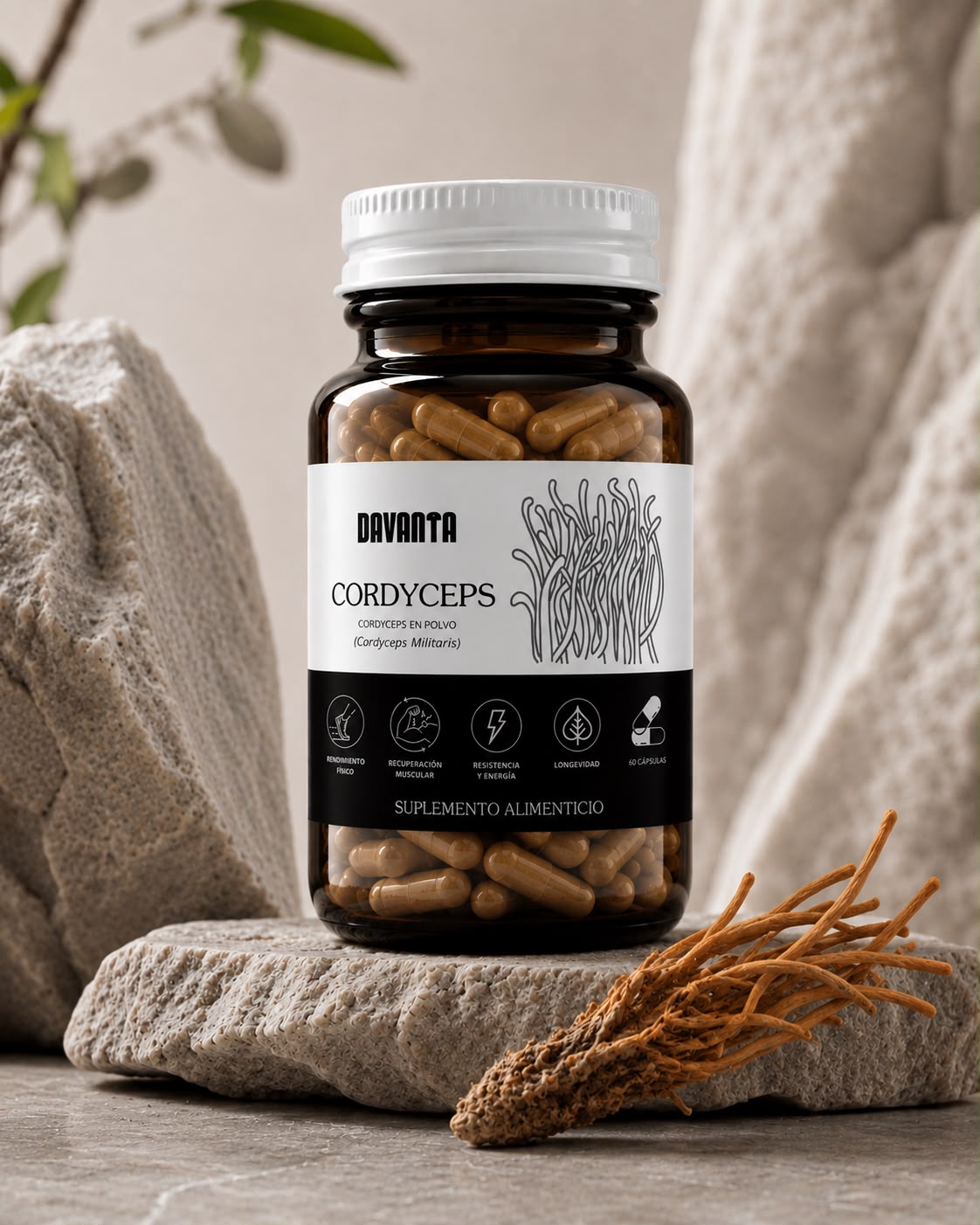 CORDYCEPS | 60 CÁPSULAS