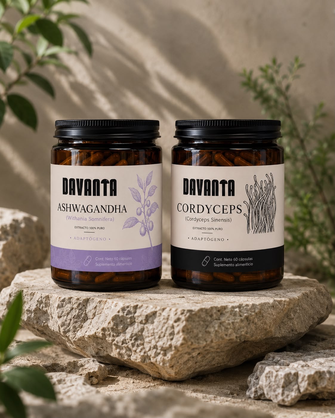 KIT ASHWAGANDHA + CORDYCEPS | 2 Frascos 120 cápsulas